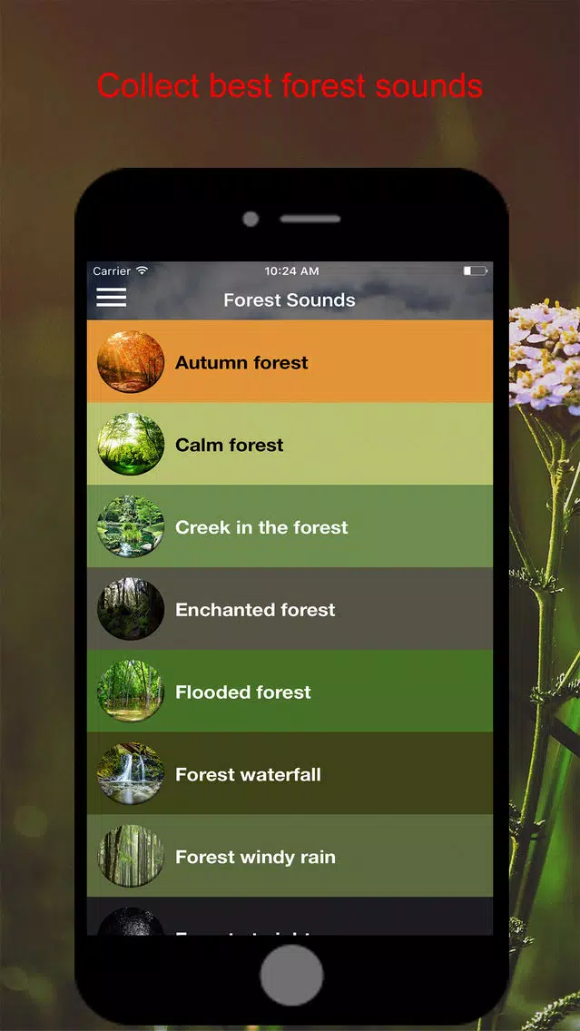 ภาพหน้าจอของ Sound4Life - Forest Sounds