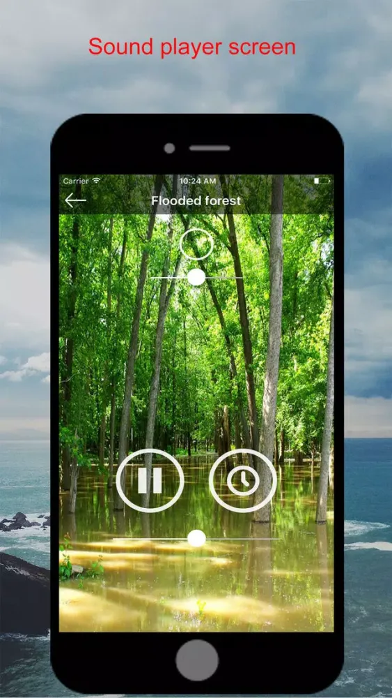 Sound4Life - Forest Sounds スクリーンショット
