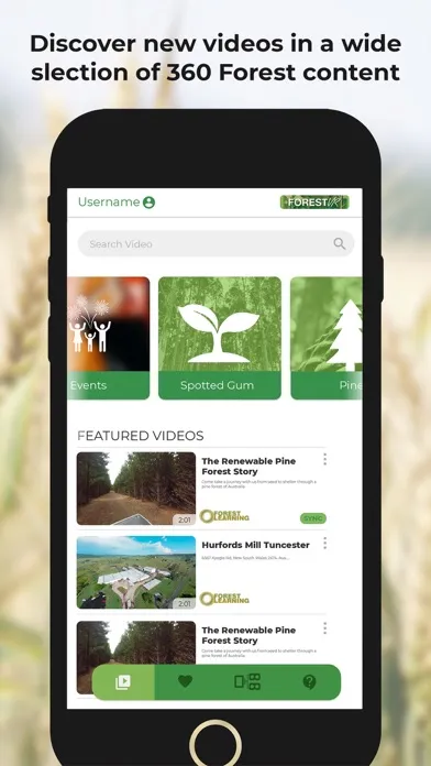 Screenshot di ForestVR