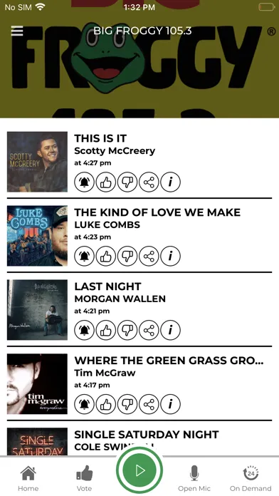 Screenshot di Big Froggy 105.3