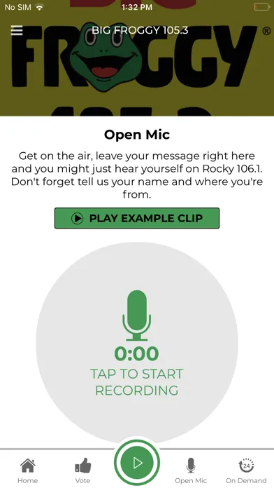 Screenshot di Big Froggy 105.3