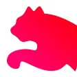 Formation Puma