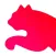 Formation Puma