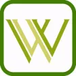 Wiki Lime