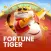 Fortune Tiger
