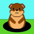 Grumpy Gopher Grumpy Gopher