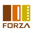 Forza Doors and Frames Forza Doors and Frames