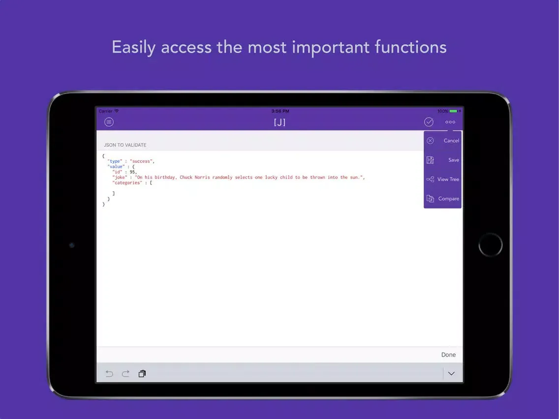 Screenshot di JSON Formatter & Validator iPad 
