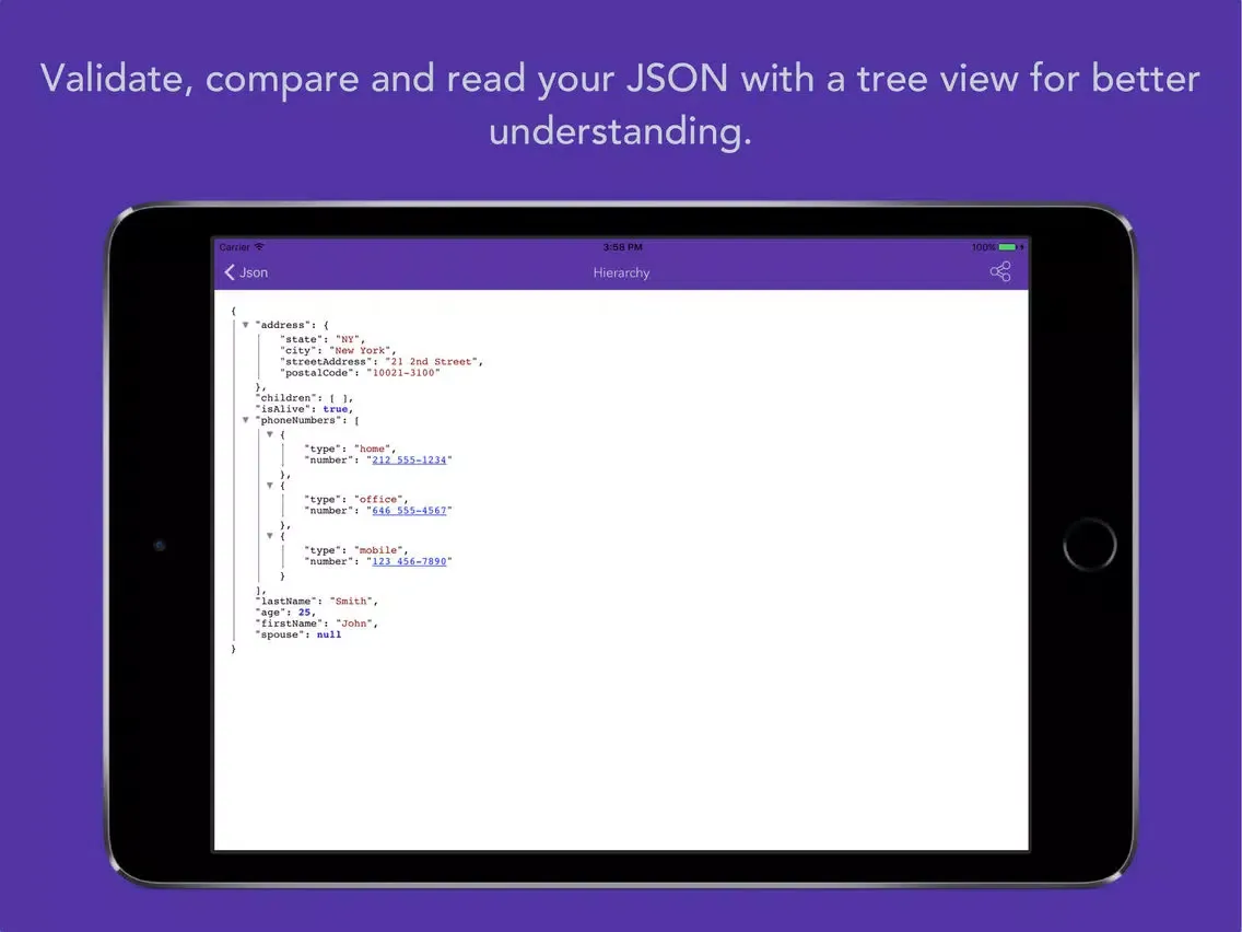 Screenshot di JSON Formatter & Validator iPad 