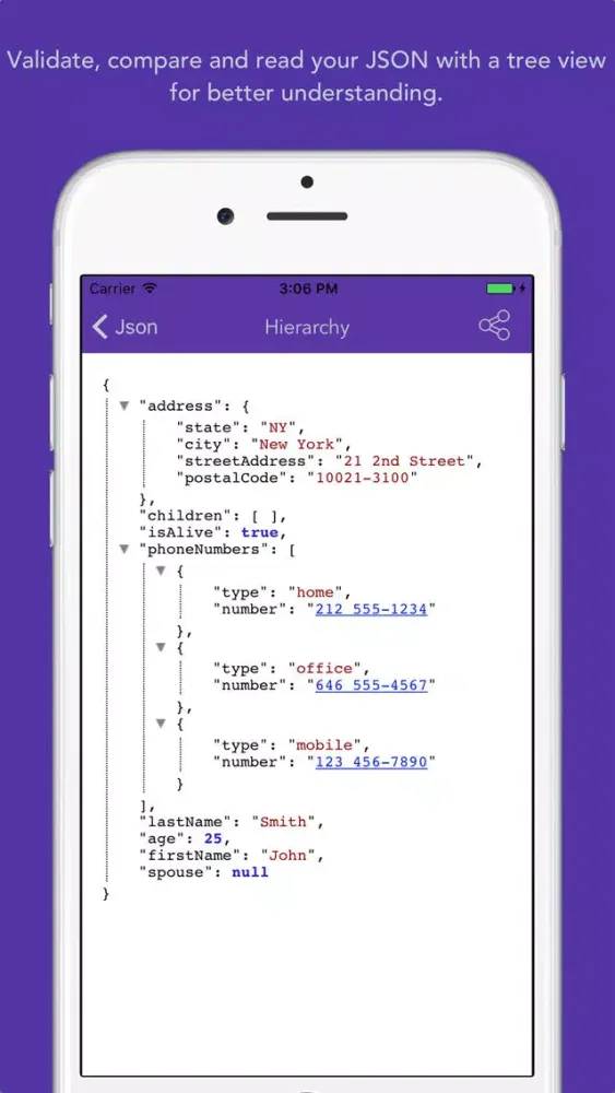 Screenshot di JSON Formatter & Validator