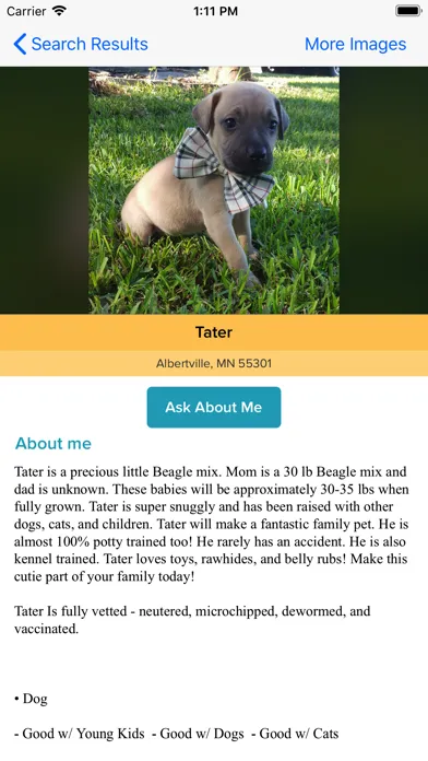 911fosterpets Ekran Görüntüleri