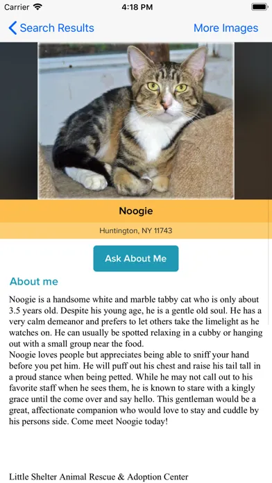 911fosterpets Ekran Görüntüleri