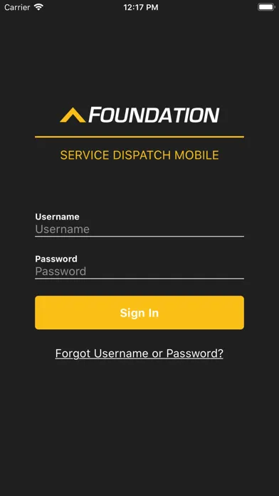 Screenshot di Foundation Service