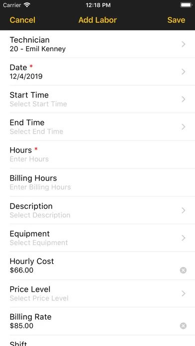 Screenshot di Foundation Service