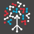 Info Grove Municipalities