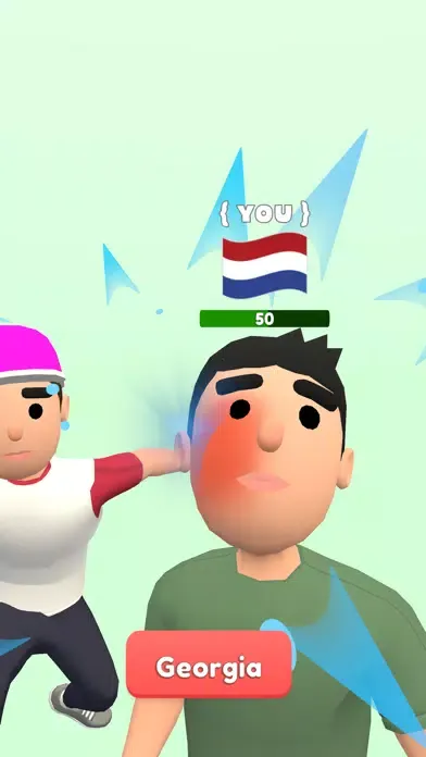 Tangkapan skrin Flag Guess Challenge