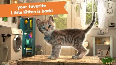 Zrzuty ekranu Little Kitten  Adventure Games