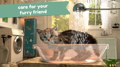 Zrzuty ekranu Little Kitten  Adventure Games