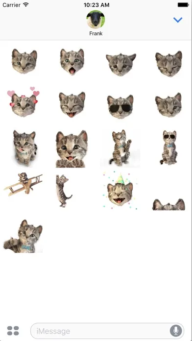 Little Kitten Stickers スクリーンショット