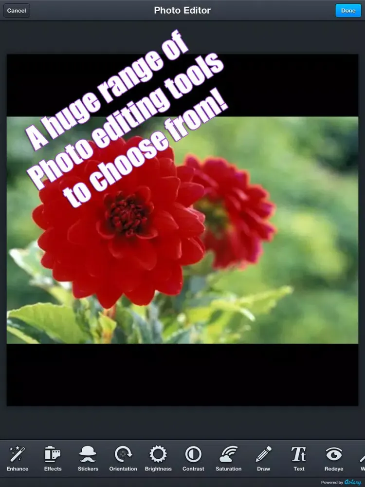 PhotoShacker iPad  Ekran Görüntüleri
