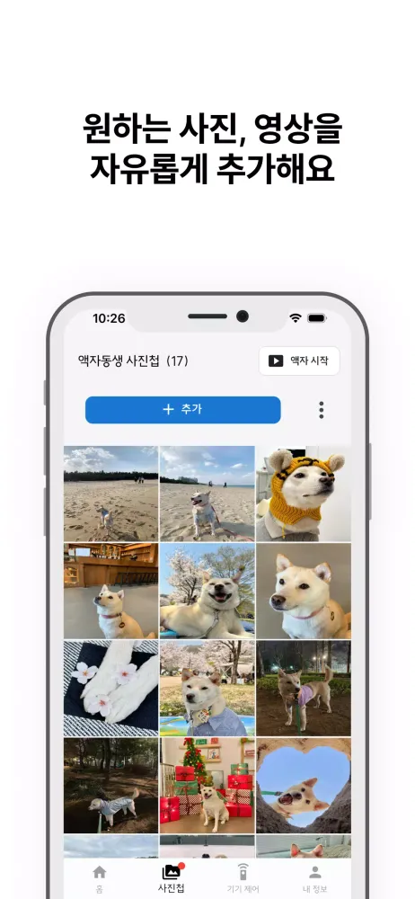 Скриншоты 액자동생
