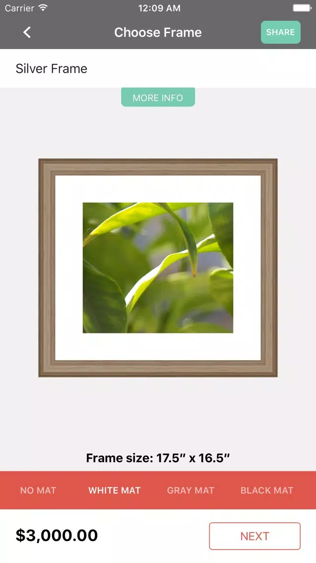 ภาพหน้าจอของ GoFrame