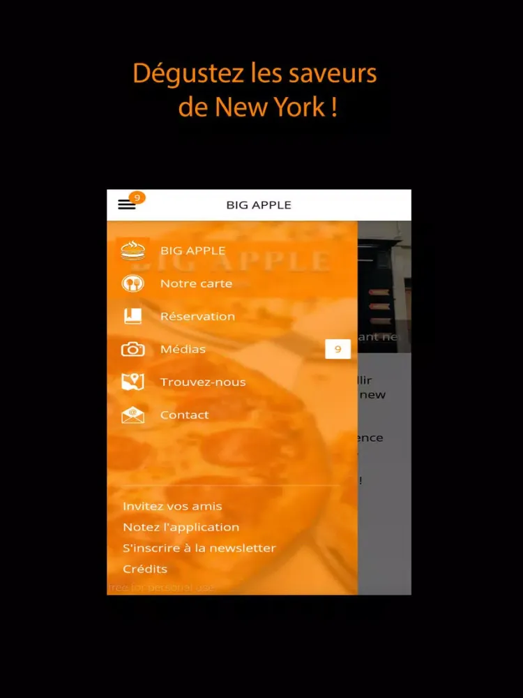 Скриншоты BIG APPLE iPad 