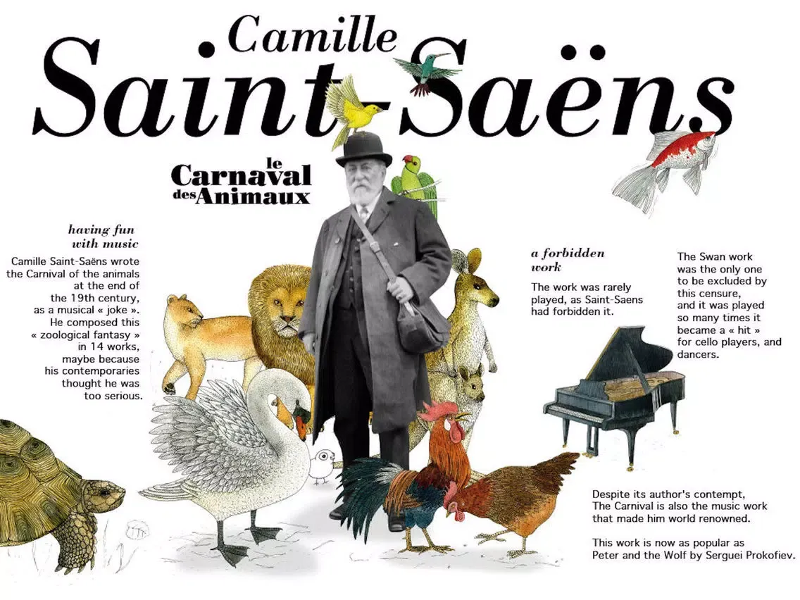 Скриншоты The carnival of animals iPad 