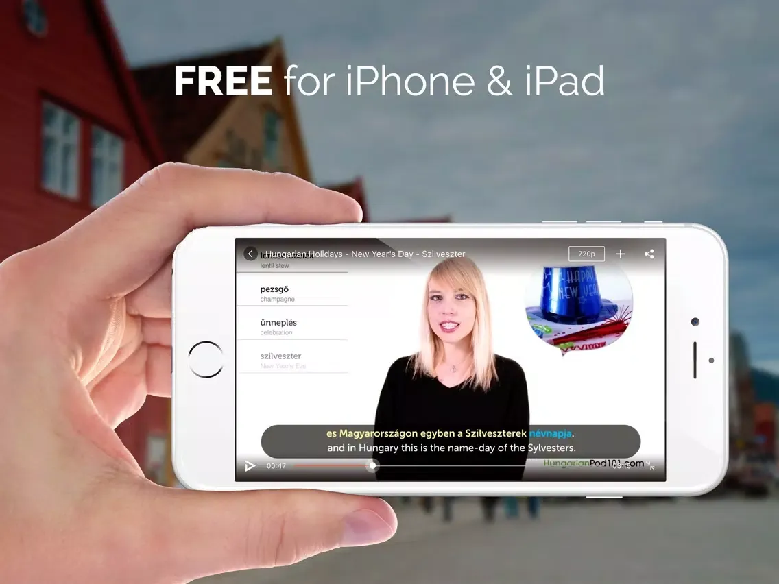 Learn to speak Hungarian with vocabulary & grammar iPad 應用截圖