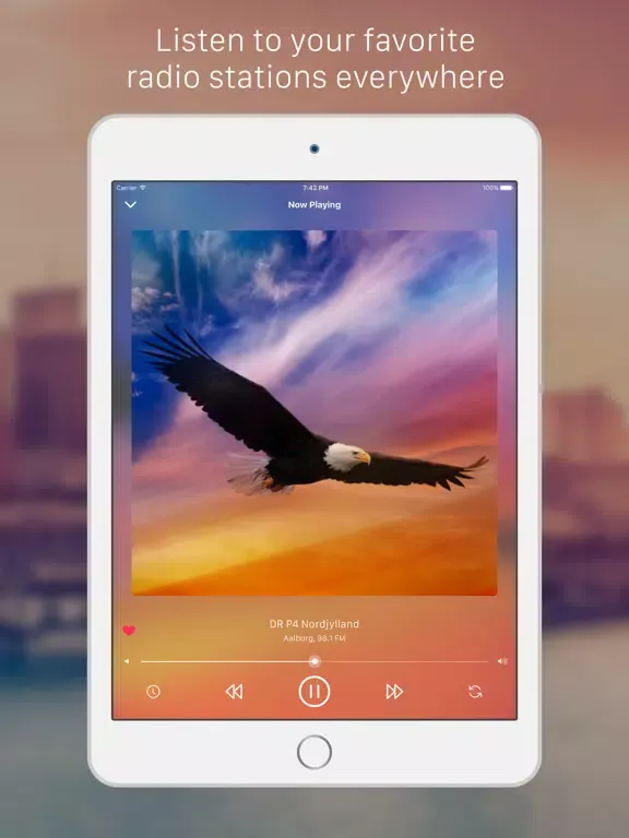 Denmark Radio Player: Listen live music, news, sport radio streaming for Danish, Danmark people iPad  스크린샷