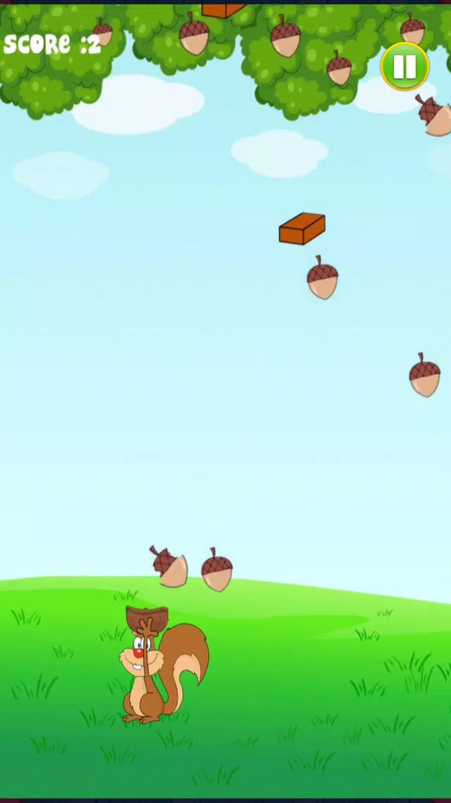 Grab the nuts – A Squirrel Quest Screenshots