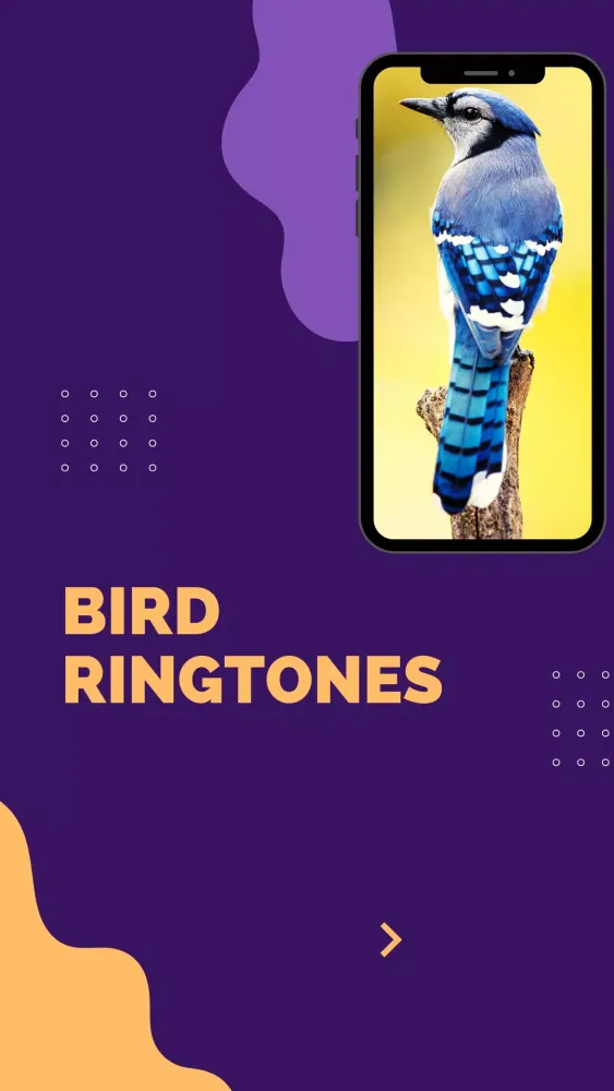 bird ringtones - Birds Sound應用截圖