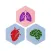 Freedom Quit Nicotine App