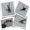 FreedomWild Fly Patterns