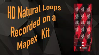 Indie Drum Loops应用截图