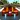 Real City Car