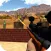 Glass Shooter