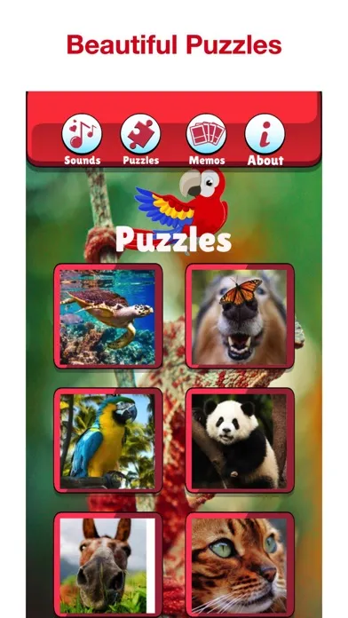 Captures d'écran de Wild Animal Puzzles for Kids!