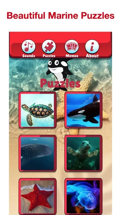 تصاویر Angry Shark: Sea Animal Games