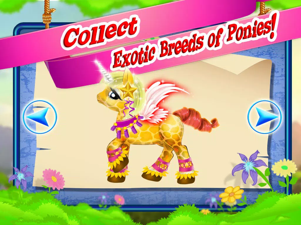 Pony Pet Dress Up! by Free Maker Games iPad  Screenshots