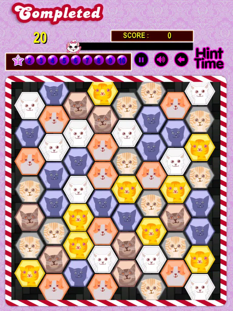 Скриншоты Carnival Kitty Connect iPad 