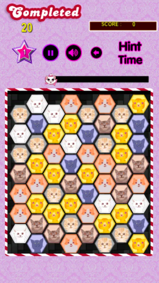 Скриншоты Carnival Kitty Connect