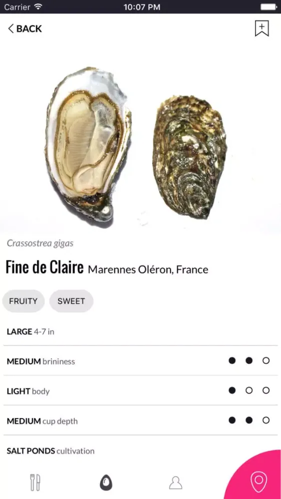 ภาพหน้าจอของ Pearl - Discover Oysters
