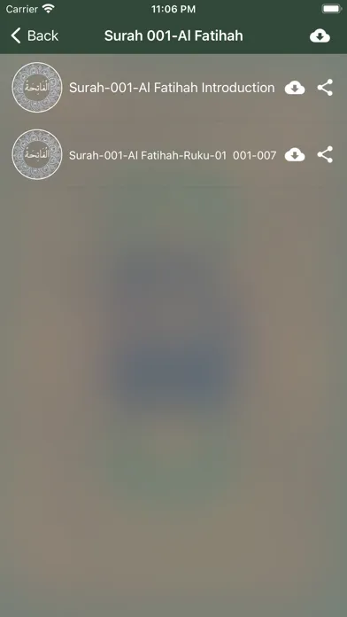 Quran Urdu Audio应用截图