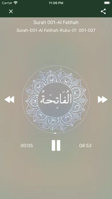 Quran Urdu Audio应用截图