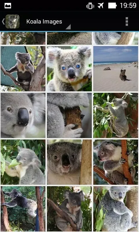 KoalaBG: Koala Wallpapers স্ক্রিনশট