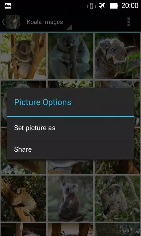 KoalaBG: Koala Wallpapers স্ক্রিনশট