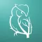 The Spirit of Animals