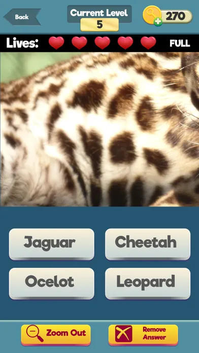 Capturas de tela do Zoom Trivia - Animals Edition