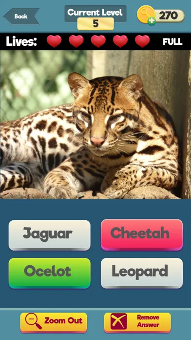 Capturas de tela do Zoom Trivia - Animals Edition
